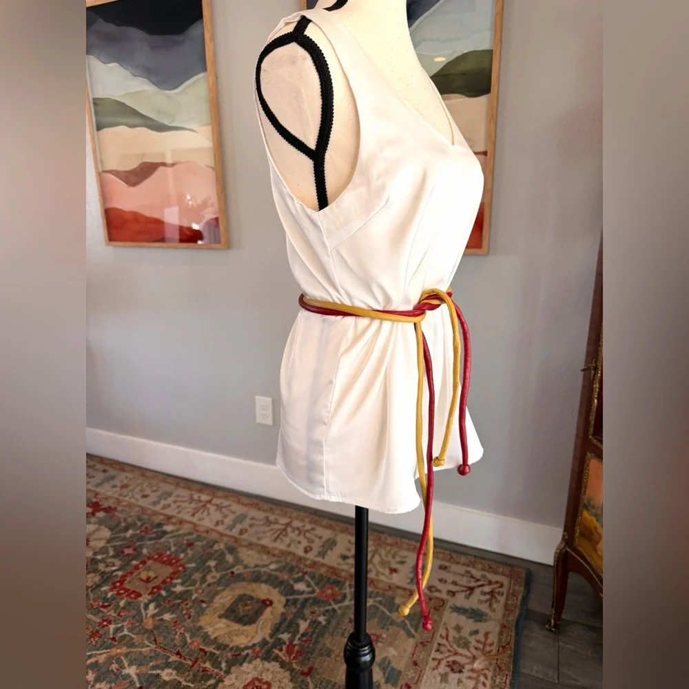 Multicolor Leather Skinny Belt Bundle